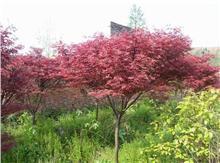 產(chǎn)品報(bào)價(jià)